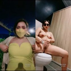 Viona Colmek di Toilet Umum